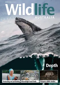 Australia Wildlife Magazine Summer 2018 
                issue Australia Wildlife Magazine Summer 2018
