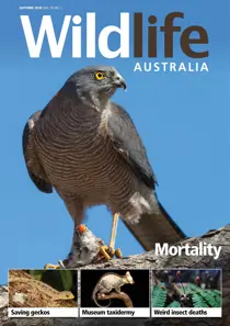Wildlife Australia Magazine Autumn 2018 
                issue Wildlife Australia Magazine Autumn 2018