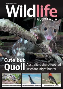 Autumn 2025 
                issue Autumn 2025