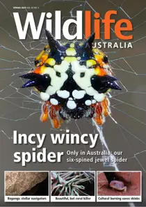 Wildlife Australia 
                issue Spring 2025