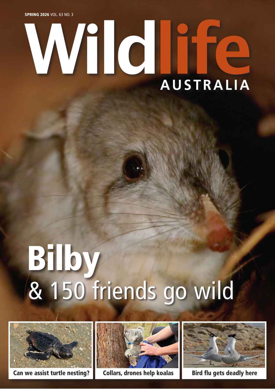 Wildlife Australia issue Spring 2026 Volume 63 Number 3