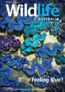 Wildlife Australia Autumn 2013 
                issue Wildlife Australia Autumn 2013