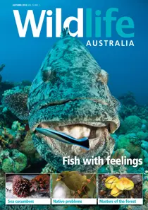 Wildlife Australia Autumn 2016 
                issue Wildlife Australia Autumn 2016