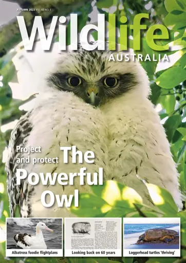 Wildlife Australia Preview