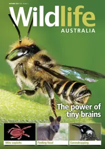 Wildlife Australia Magazine Autumn 2017 
                issue Wildlife Australia Magazine Autumn 2017