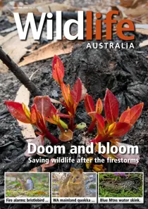 Wildlife Australia Magazine  Autumn 2020 
                issue Wildlife Australia Magazine  Autumn 2020