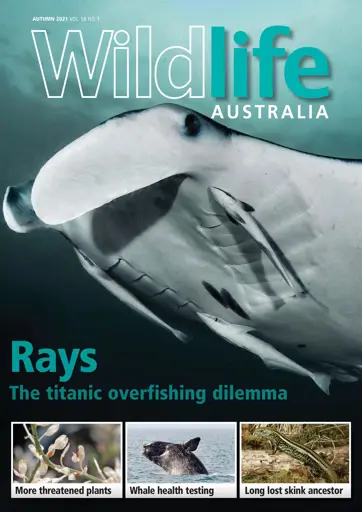 Wildlife Australia Preview