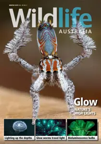 Wildlife Australia Magazine Winter 2019 
                issue Wildlife Australia Magazine Winter 2019