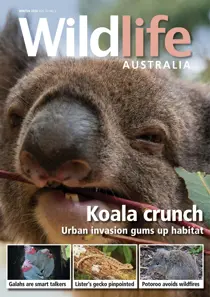 Wildlife Australia Magazine  Winter 2020 
                issue Wildlife Australia Magazine  Winter 2020