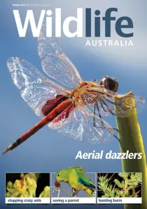 Wildlife Australia Spring 2015 
                issue Wildlife Australia Spring 2015