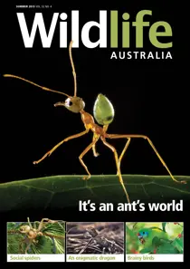 Wildlife Australia Summer 2015 
                issue Wildlife Australia Summer 2015