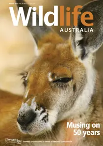 Wildlife Australia Winter 2013 
                issue Wildlife Australia Winter 2013