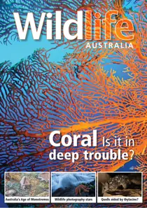 Wildlife Australia Winter 2024