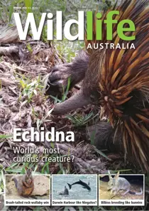 Wildlife Australia 
                issue Winter 2026 Volume 63 Number 2