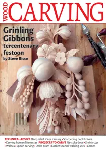 Issue 181 
                issue Issue 181