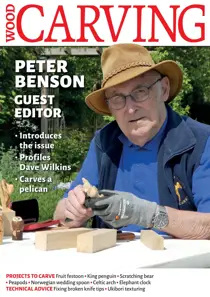 Woodcarving Issue 195