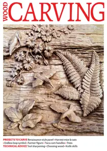 Issue 206 
                issue Issue 206