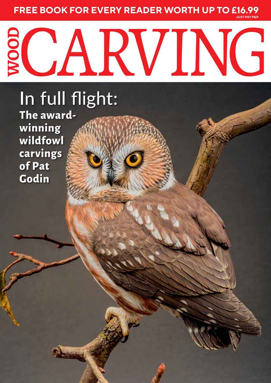 Woodcarving issue Issue 215