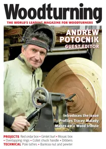 Woodturning Issue 388
