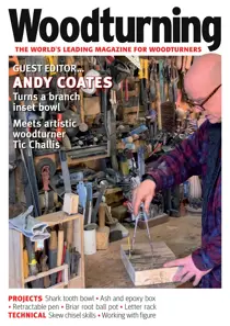 Woodturning Issue 395