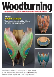 Issue 411 
                issue Issue 411