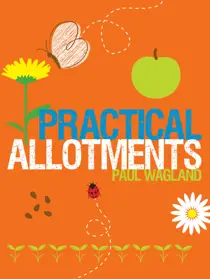 Woodworking Crafts Magazine Practical Allotments