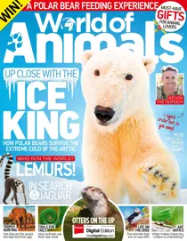 Issue 53 
                issue Issue 53