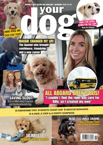 Your Dog issue All aboard Billy's bus! - Your Dog November 2026