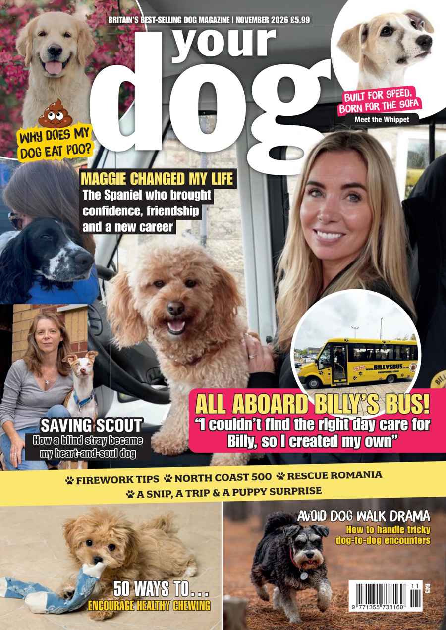 Your Dog issue All aboard Billy's bus! - Your Dog November 2026
