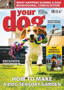 Your Dog Discounts