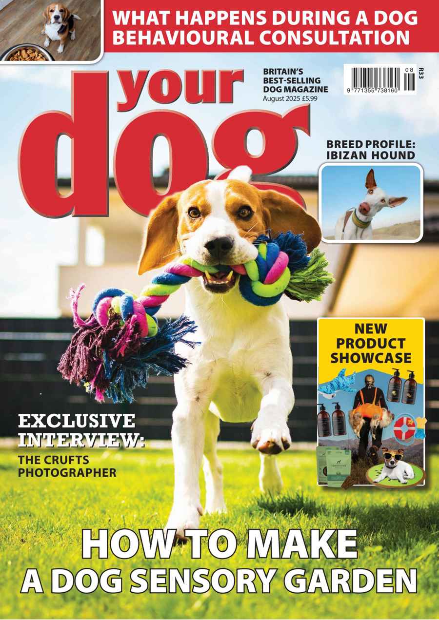 YOUR DOG