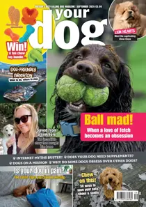 Your Dog issue Ball Mad! Your Dog - September 2026