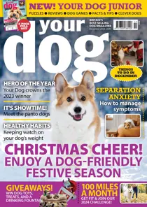 Your Dog December 2023