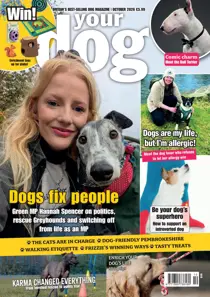 Dogs fix people - Your Dog October 2026 
                issue Dogs fix people - Your Dog October 2026