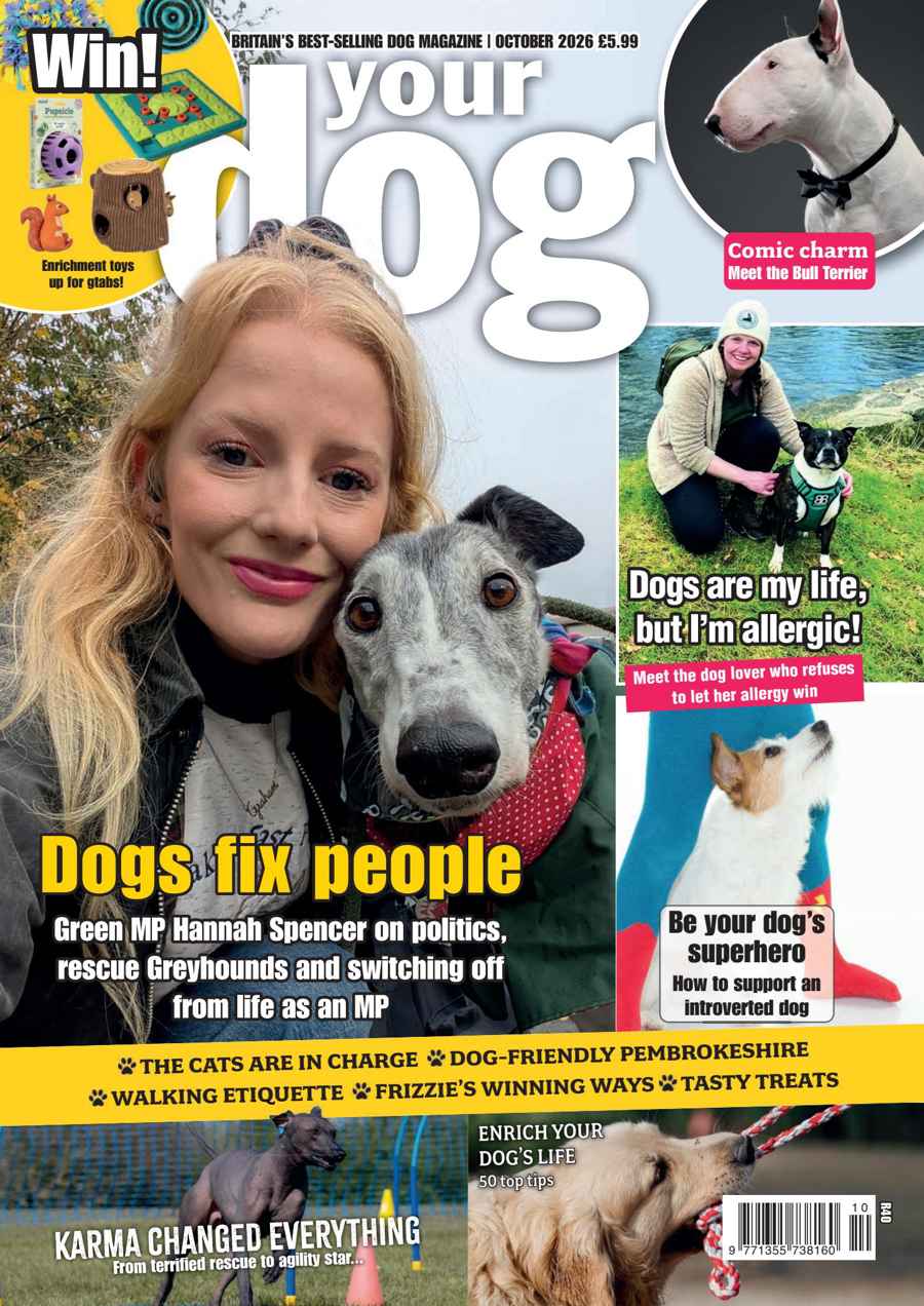Your Dog issue Dogs fix people - Your Dog October 2026
