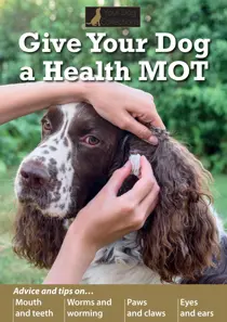 Your Dog Give Your Dog a Health MOT
