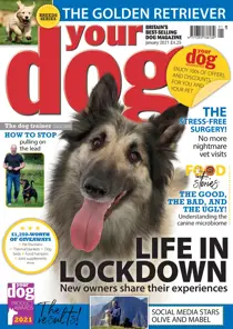 Your Dog Magazine January 2021 
                issue Your Dog Magazine January 2021