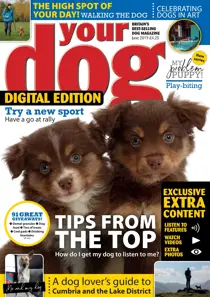 Your Dog FREE Sample Issue