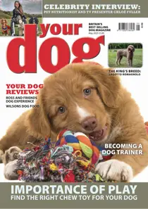 Complete Your Collection Cover 1