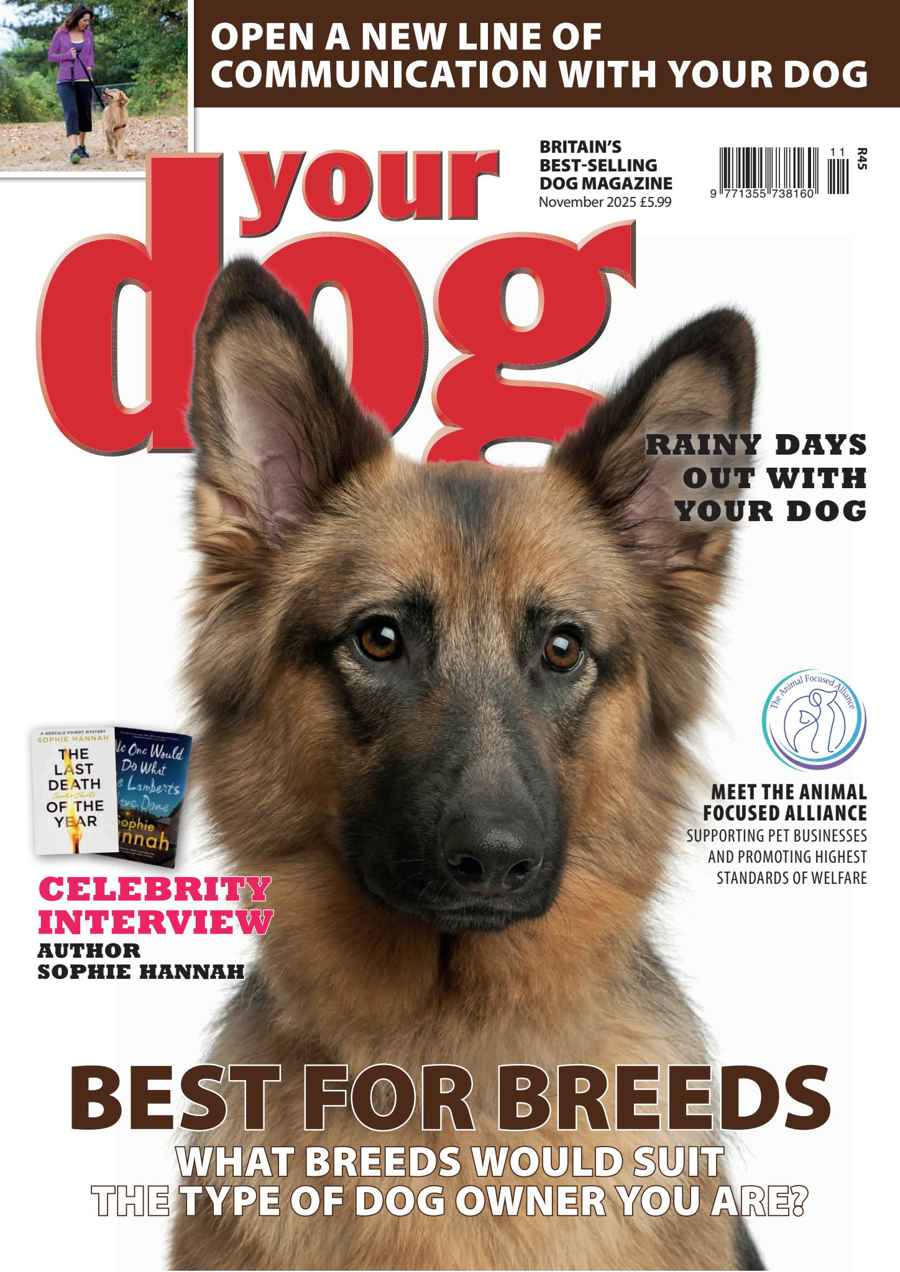 YOUR DOG
