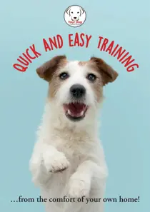 Your Dog Quick and Easy Dog Training