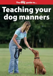 Your Dog Teaching Your Dog Manners