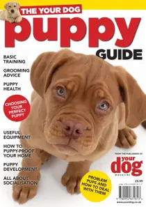 The Your Dog Puppy Guide 
                issue The Your Dog Puppy Guide