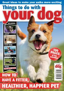 Things To Do With Your Dog 
                issue Things To Do With Your Dog