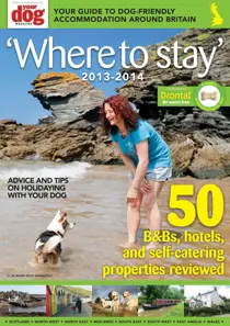 Where To Stay Guide 
                issue Where To Stay Guide