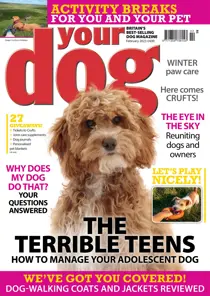 Your Dog Magazine February 2023 
                issue Your Dog Magazine February 2023