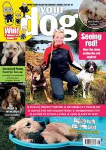 Your Dog 
                issue Your Dog - August 2026