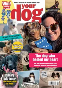 Your Dog issue Your Dog - June 2026