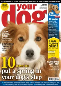 Your Dog Magazine April 2013 
                issue Your Dog Magazine April 2013
