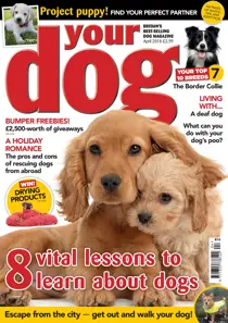 Your Dog Magazine April 2018 
                issue Your Dog Magazine April 2018